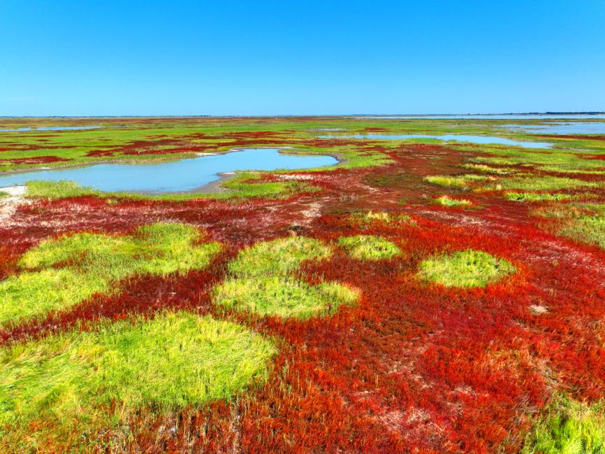 Another Name Of Nature Reserve