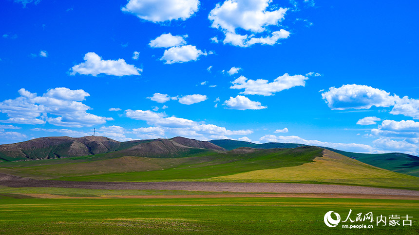 Magnificent scenery of greening grasslands in Hulun Buir