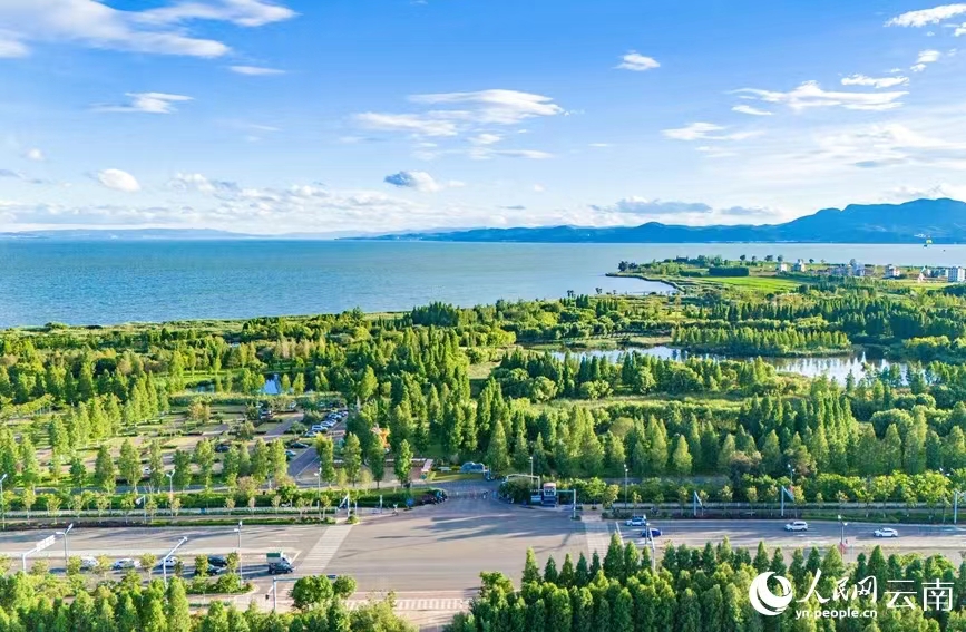 A glimpse into beautiful wetlands in Dianchi Lake, SW China